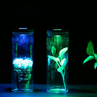 Miniature Ecosystem Glass Fish Tank with Remote Control LED Light for Desktop Decor