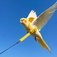 Small Bird Harness with Winged Pattern for Outdoor Bird Walking, Budgerigar Leash for Training, Cockatiel and Budgie Elastic Training Strap