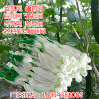Plant Climbing Net Trellis for Cucumber, Loofah, Yam, Passion Fruit, and Bean Vines - Durable Support Mesh