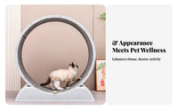 noiseless Operation Feline jogning Wheel Sturdy Build feline jogning Wheel long-lasting Construction Pet Exercise apparatus Large Size for felines, Small Dogs, Apartment Living, Indoors, Playroom, Home