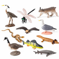 10 Pieces Hand-Painted Animal Figurines High Quality Plastic Animal Figures Miniature Forest Creature Figurines Sturdy for Collectors, Kids, Classroom