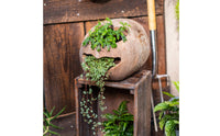 Wooden Flower Pot Rustic Wooden Aesthetic Vase Decorative Wood Log Planter for Balcony, Garden, Patio