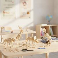 6 Pieces Dinosaur Skeleton Toys Figures Kit Translucent Dinosaur Skeleton Kit Archaeology Model for Kids