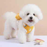Dog Vest Harness and Leash Set, Polyester Small Dog Harness for Training Walking, Cat Walking Harness with Handle Training for Various Pets