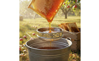 Easy to Clean Double Layer Honey Strainer Beekeeping Supplies Food Processing Tool for Beekeepers