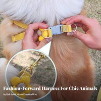 Flower Dog Harness and Leash Set Strong Buckle Adjustable Pet Vest Harness Lightweight Woven Material Dog Leash Set for Daily Walks, Training, Jogging