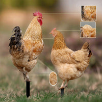 2 Pieces Chicken Silhouettes with Ground Stakes Acrylic Chicken Garden Stake Animal-Themed Outdoor Decorations Black