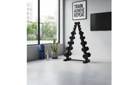 2 Pieces Compact Dumbbell Storage Rack Heavy-Duty Dumbbell Stand Gentle on Dumbbells Fitness Equipment Stylish for Gym Owners