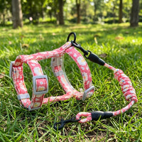 Cat Harness and Leash Set, H-shaped Soft Kitten Harness and Kitten Leash for Small Cats, Breakaway Resistant Outdoor Walking Leash, Navy/Rose