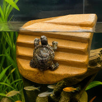 Natural Turtle Basking Platform with Anti-Slip Steps and Hiding Cave for Aquarium Decor