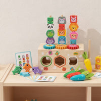 Sorting and Stacking Toy Fine Motor Wooden Sorting Toy Shape Sorter Educational Toys Non for Toddlers, Playroom, Daycare