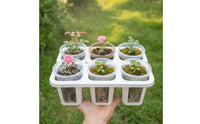 Planting Tray with Pots Drainage-Friendly Six-Slot Planter Tray Strong Nursery Pot with Drain Holes for Hobbyists