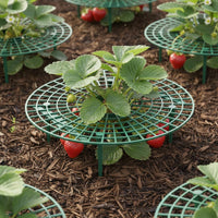 Keeps Berries Clean Strawberry Growing Rack Sturdy Plastic Plant Cradle Support Easy to Assemble Fruit Cradle Reusable for Balcony