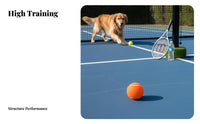 Macaron Colors Colored Tennis Ball Long-Lasting High Rebound Training Ball Multi-Use for Dog Owners, Beginners, Outdoor, Backyard, Park