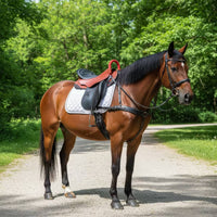 Leather Saddle Padded Doubleequestrian Saddle Balanced for Equestrians