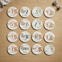 14 Pieces Baby Milestone Cards Pastel Milestone Card Set with Teddy Bear Cute Whimsical for Parents, Nursery Photos, Scrapbook