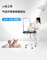 宠物美容桌狗狗美容台中小型犬猫咪气动旋转气动升降桌宠物店剪毛