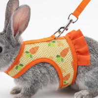 Pet Harness and Leash Set, Printed Polyester Walking Vest and Bunny Harness, Adjustable Vest for Small Pets, Comfortable Fit Outdoor Walking Use