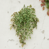 Artificial Ivy Vine Wall Hanging for Decoration and Pipe Concealment