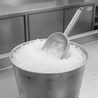 Large Stainless Steel Scoop for Ice, Flour, Rice, Popcorn, and Dry Goods