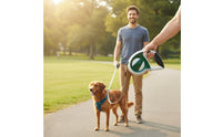 Retractable Dog Leash Instant Locking Mechanism Automatic Retracting Leash 360-Degree Rotating Hook Extending Pet Rope for Small Dogs, Training