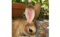 Molded Coat Texture Mother and Baby Bunny Statue Natural Finish Bunny Statue Painted Details Garden Decor Detailed for Courtyard