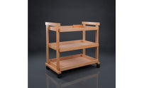 Art Trolley Crafted Studio Cart Open-Shelf Organizer for Artists, Classroom