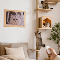Wall-Mounted Cat Perch with Pegboard, Solid Wood Cat Climbing Frame, No-Drill Cat House & Shelf