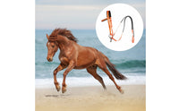 Horse Bridle  Easy To Use PVC Horse Bridle Padded for Equestrians