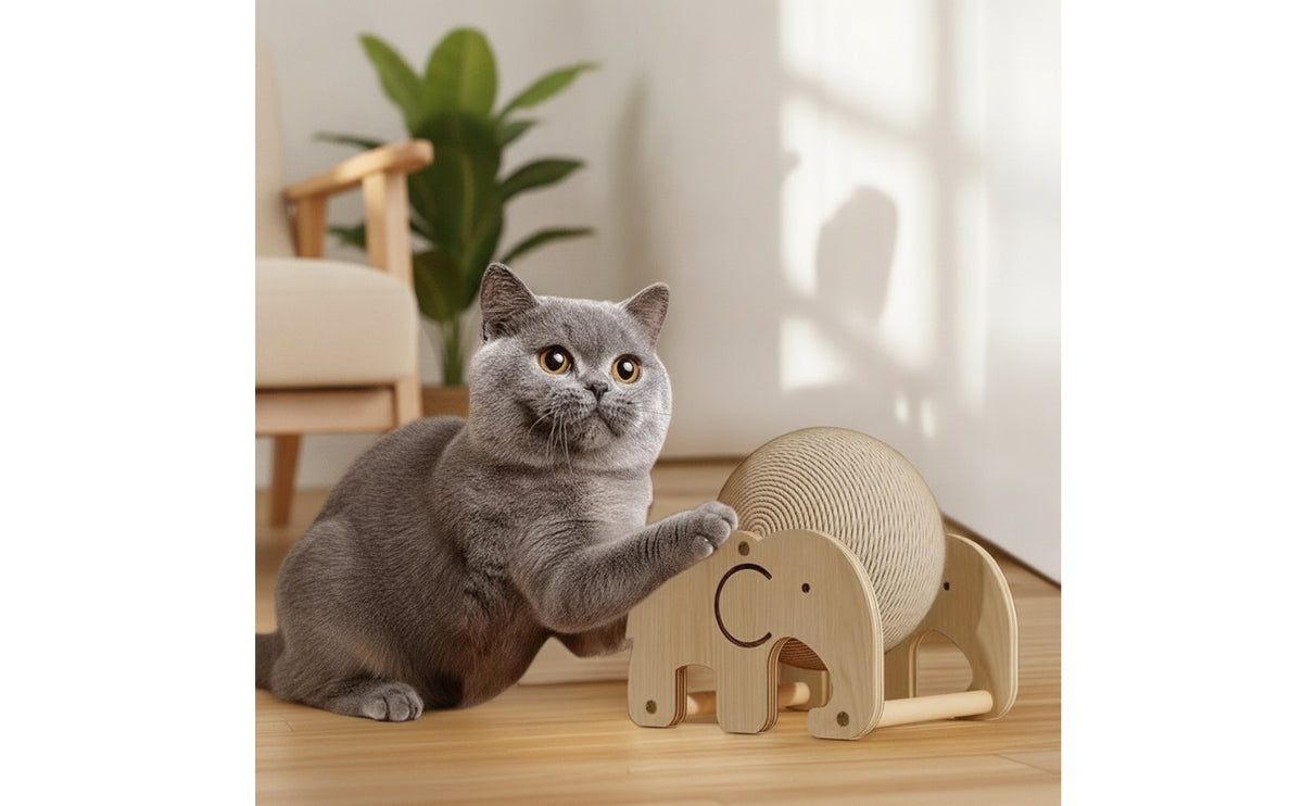 Floor-Standing Cat Scratching Ball with Wooden Frame Compact Sisal Rope Scratching Ball Stable Pet Toy Indoor for Cats