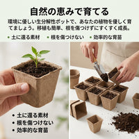 Seedling pots 6cm pulp paper 90-piece set for direct planting biodegradable seedling pots for home gardening