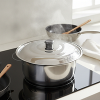 Thickened Stainless Steel Pot Lid for Woks and Frying Pans