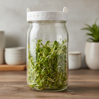 Mason Jar Sprouting Kit for Hydroponic Broccoli Alfalfa Sprouts, Thick Glass Seedling Bottle