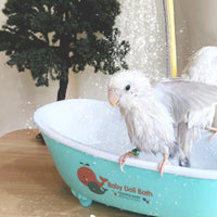 Summer Cooling Electric Bird Shower Tub Easy to Clean Circulating Bird Bath Safe Material Parrot Bath Tub Quiet Pump for Parrots, Small Birds, Budgies