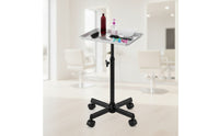 Adjustable Height Salon Tray with Stand Professional Rolling Salon Tray Mobile Hairdresser Trolley Movable for Hairdressers, Stylists, Beauticians, Salons, Hair Studios, Beauty Parlors
