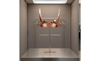 Bra Display Stand  Bra Form Stand Hanging Bar Torso Display Form
