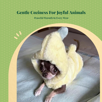 Dog Sweatshirt, Chihuahua Hoodie, Warm Winter Outfit