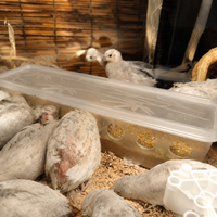 pet feeder