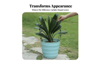 Promotes Symmetrical Growth Clivia foliage Alignment Tool Adjustable Design Plant guide Gardening Accessory for Gardeners, Balcony, Office, Home