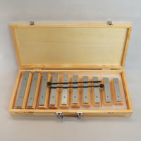 Xylophone with Carry Case Diatonic Xylophone with Case Glockenspiel for Beginners, Classroom