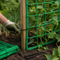 Garden Trellis Netting for Climbing Plants, Fruits, and Vegetables