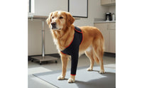 Anti-Rub Dog Elbow Protector Warm Dog Joint Protection Sleeve Adjustable Fit Pet Elbow Wrap Scratch Prevention for Large Dogs