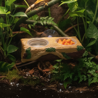 Reptile Chameleon Gecko Natural Landscape Anti-mold Chew-resistant Detachable Feeding Wood Stump with Double Bowls