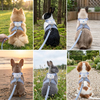 Cat Harness and Leash Set, Adjustable Polyester Vest Style Kitten Harness with Kitten Leash, Small Cat Outdoor Walking Gear, Not Retractable