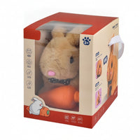 Stuffed Bunny with Carrot Giftable Stuffed Rabbit with Box Stuffed Rabbit Soft Stuffed Bunny Soft for Toddlers, Birthday Gifts