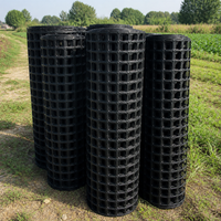 Geogrid Mesh Gravel Protection Material Gravel Ground Stabilizer 1m×50m High-Density Polyethylene Material Weather-Resistant For Subgrade Reinforcement