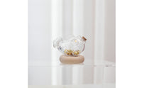 Decorative Aquatic Shaped Jar Borosilicate Glass Jar with Wood Base Clear Glass Bottle with Cork Stopper Cute for Collectors, Minimalists, Shelf, Desk, Home Office