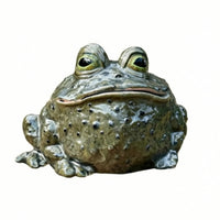 Decorative Toad Tissue Box Holder Whimsical Toad Tissue Holder Funny Home Decor Humorous for Bathroom
