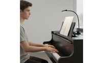 LED Sheet Music Light Adjustable Brightness Instrument Accessory for Students