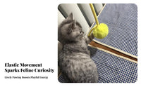 Easy Installation Doorway Cat Toy Mental & Physical Stimulation Door Frame Cat Toy Space Saving Design for Cats, Living Room, On Walls, Home